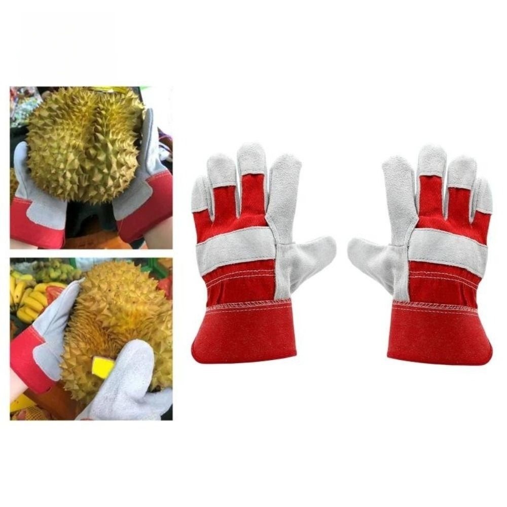 Cut Resistant Glove - Rękawice ogrodnicze ze skóry bydlęcej, odporne