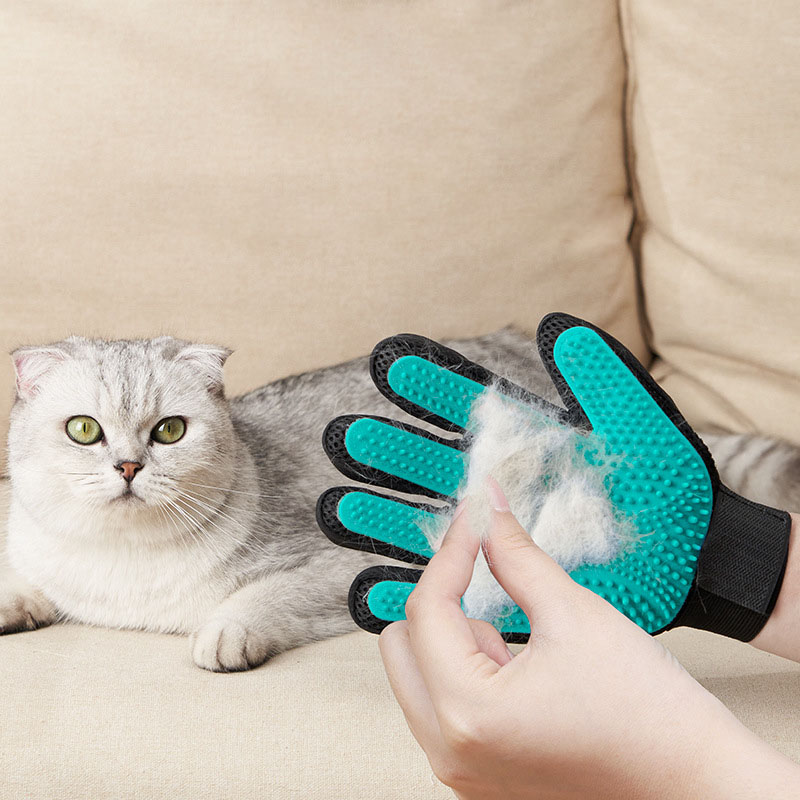 Rękawica do pielęgnacji zwierz – Rubber Glove Cleaning recenzja i cena